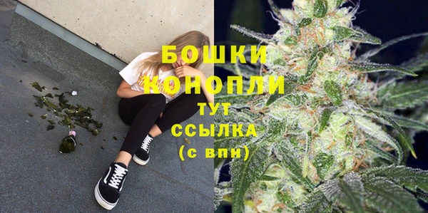 дурь Пестово