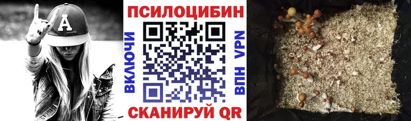 Галлюциногенные грибы Psilocybe где продают Струнино